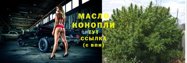 хмурый Кодинск